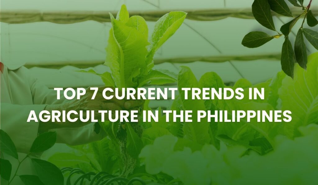 Current Trends in Agriculture in the Philippines