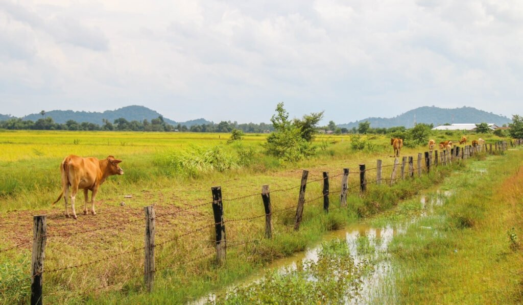 farm lot investment in the Philippines