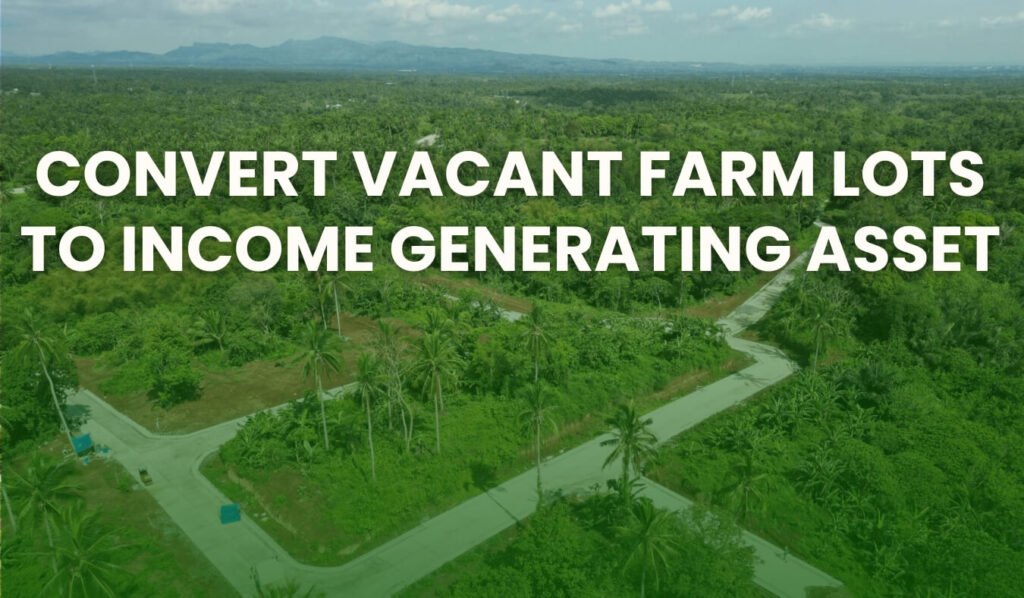 Convert Vacant Farm Lots to Income Generating Asset