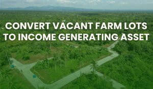 Convert Vacant Farm Lots to Income Generating Asset