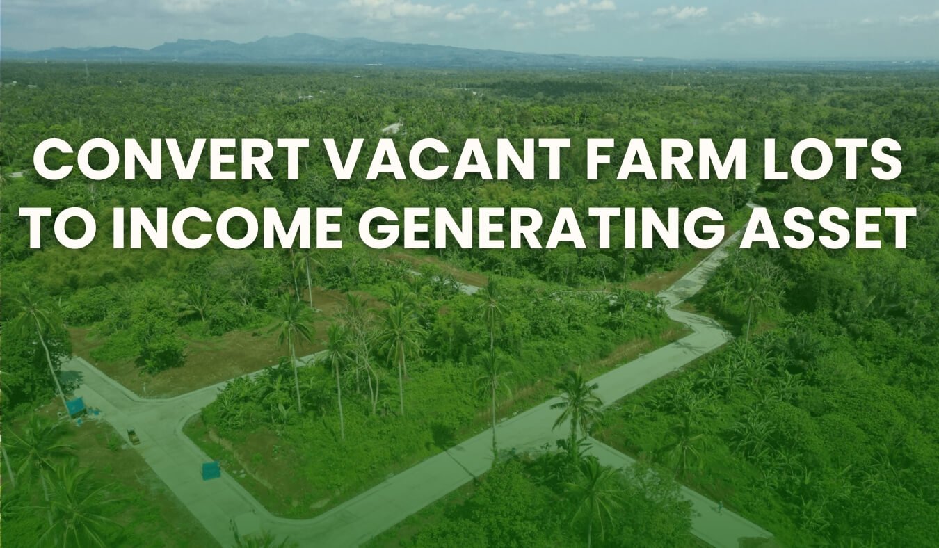 Blog-old 3 Convert Vacant Farm Lots to Income Generating Asset