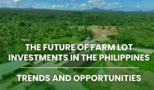 The Future of Farm Lot Investments in the Philippines