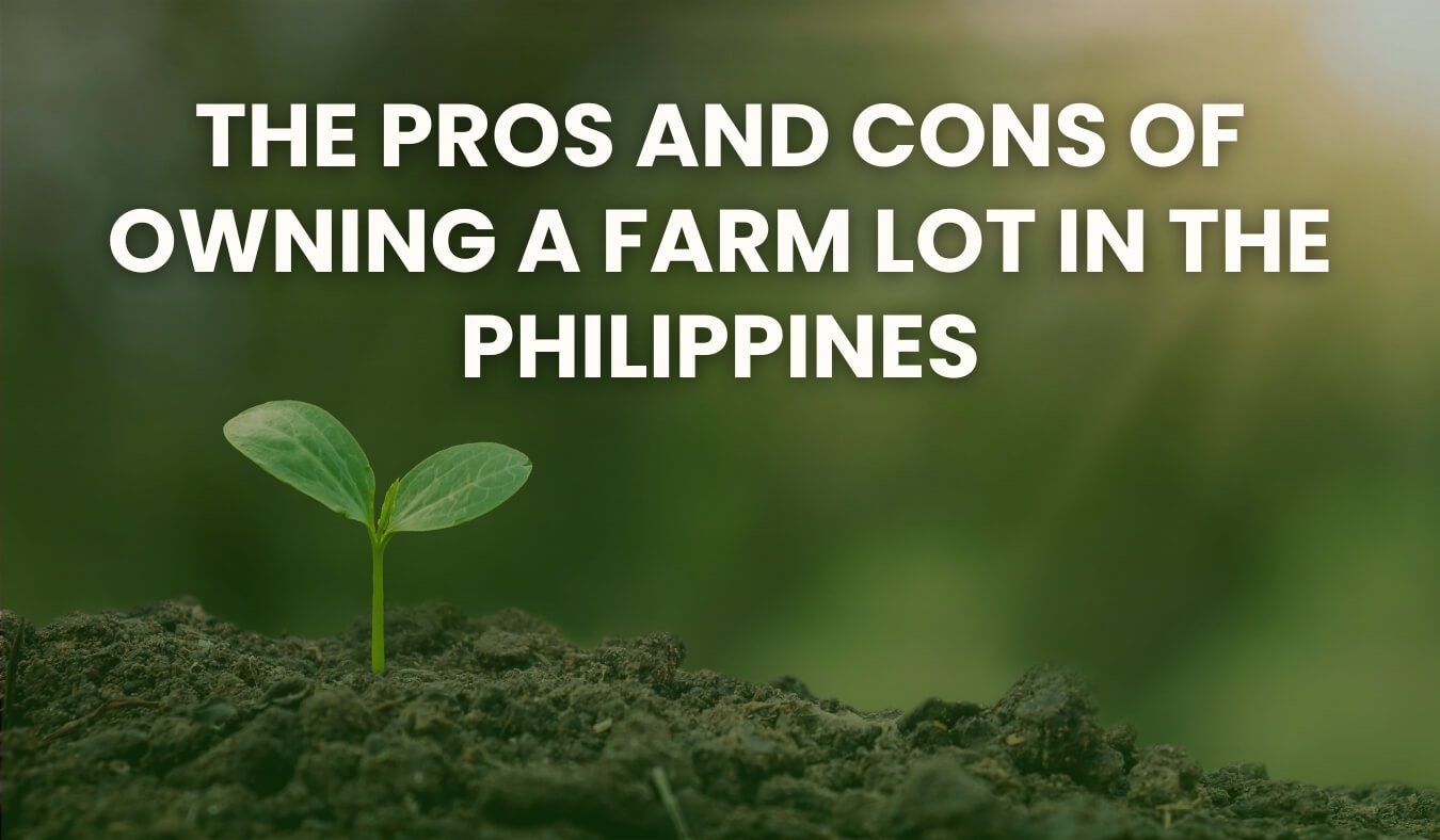 The Pros and Cons of Farm Lot Ownership in the Philippines